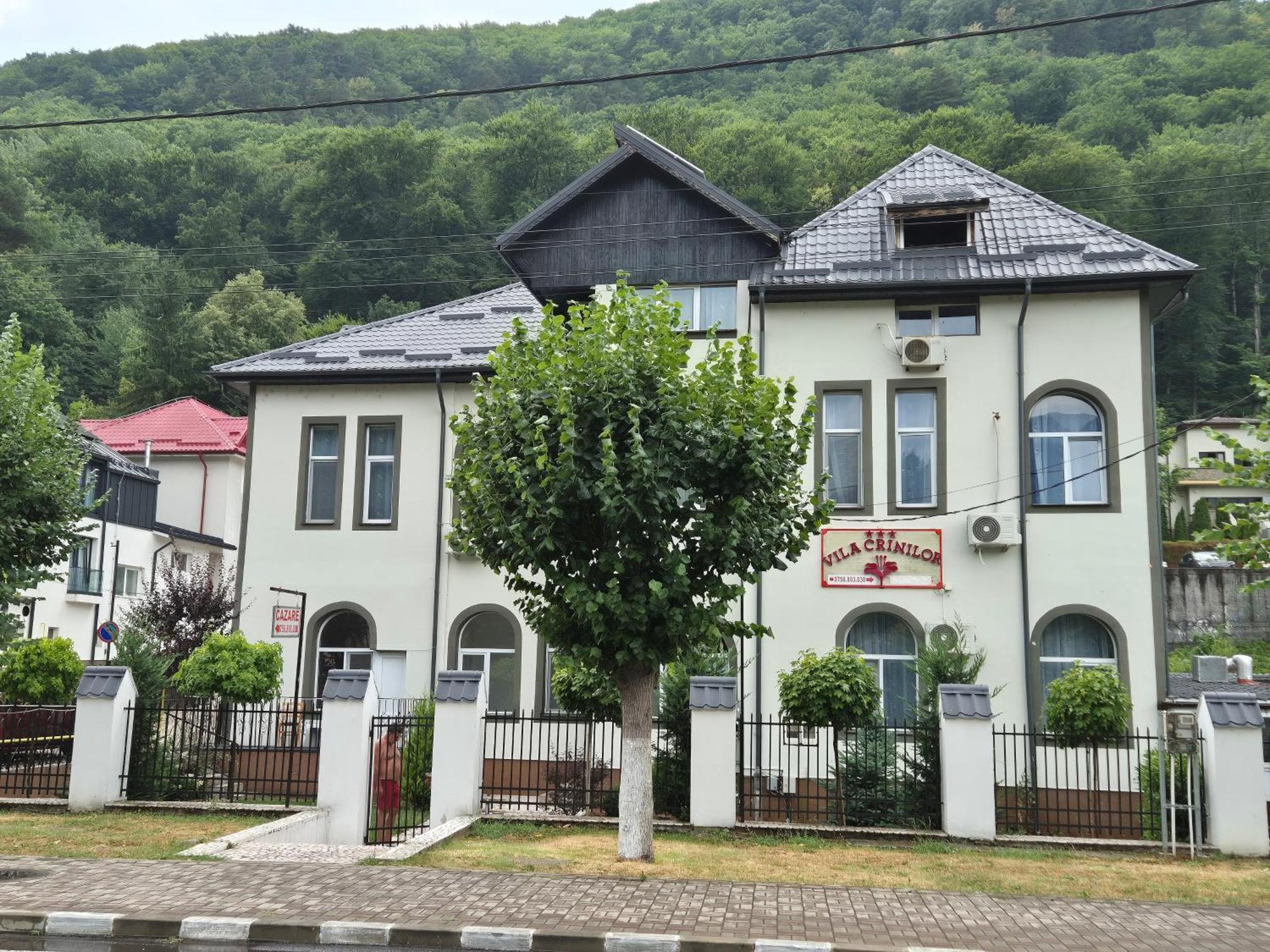 Vila Crinilor Călimăneşti Exteriör bild